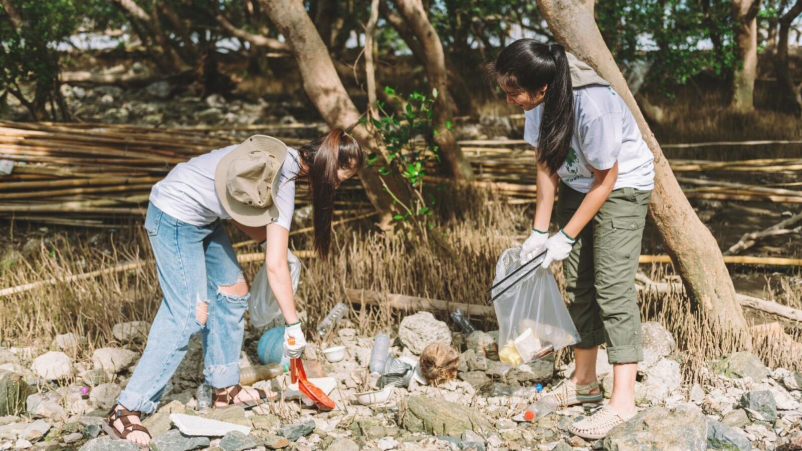 Công tác xã hội
