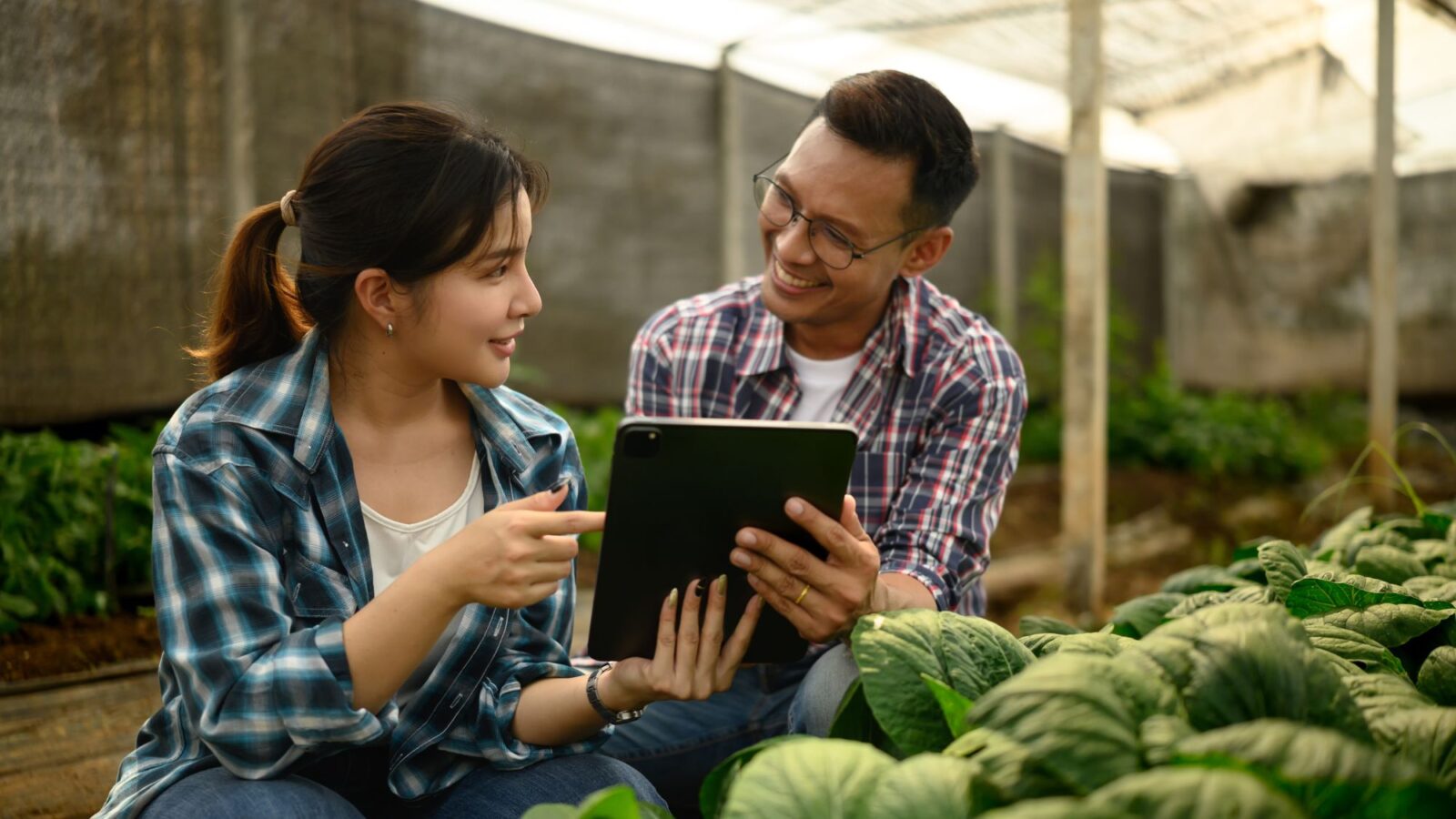 Kinh tế nông nghiệp